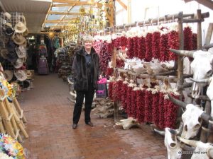 Cindy Bradford Shopping in Santa Fe